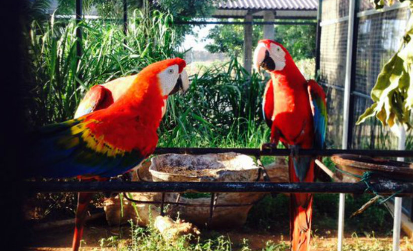 hambantota-bird-park-ecotreat