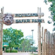 hambantota-safari-park-ecotreat