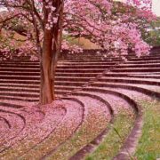 peradeniya-srilanka-ecotreat