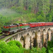 train-tour-srilanka-eco-treat