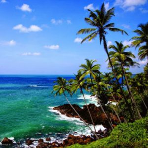 beach-srilanka-eco-treat