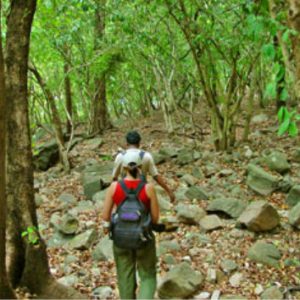 ecotourism-srilanka-eco-treat