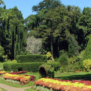 garden-city-sri-lanka-eco-treat