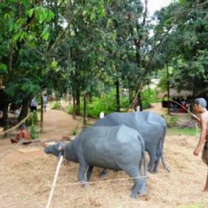 musium-sri-lanka-eco-treat