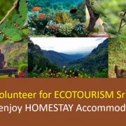 Homestay Sri Lanka as a Volunteer