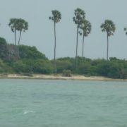 jaffna-KKS-beach-tour-srilanka-eco-treat